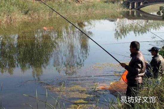 深秋怎么钓鲫鱼