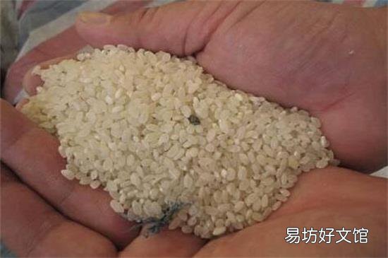 防止大米霉变的方法