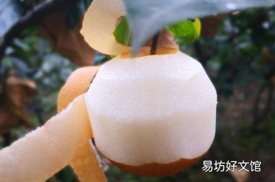 丰水梨和秋月梨的区别