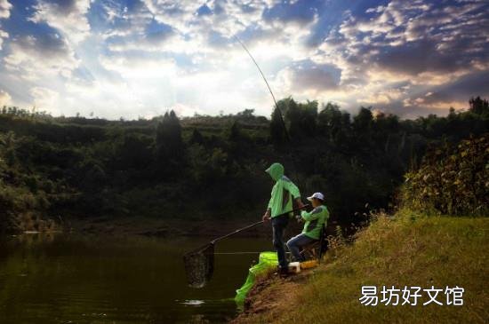 秋季钓鲢鳙怎么找鱼层