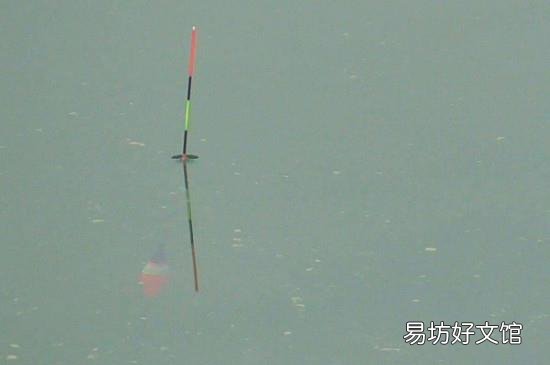 钓大鱼调漂的正确方法