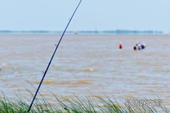 秋季钓鱼钓远还是近