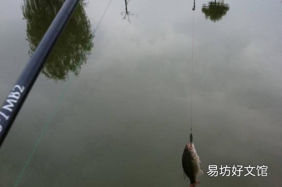 秋季钓鱼钓远还是近