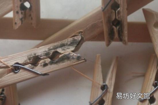 木质衣架发霉了怎么办