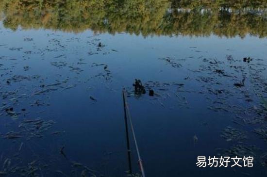 钓甲鱼怎么穿猪肝图