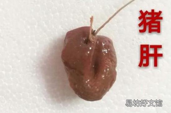 钓甲鱼用什么饵