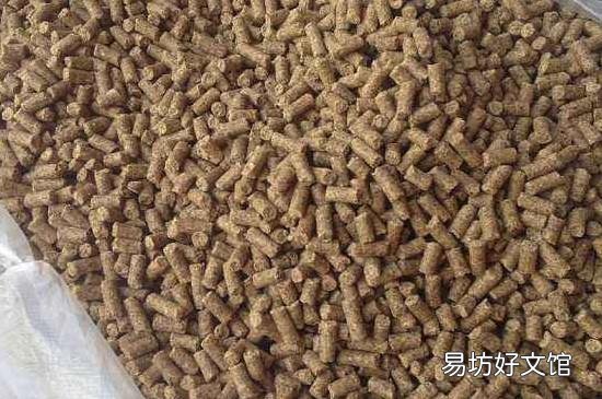 钓草鱼用什么饵