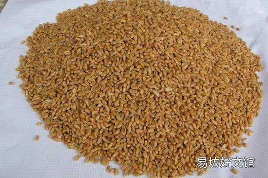 钓草鱼窝料配方