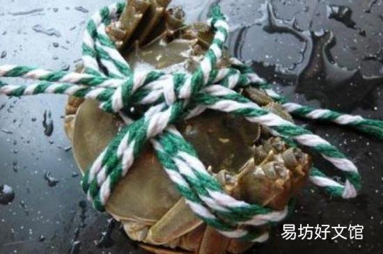 丝袜钓螃蟹怎么绑