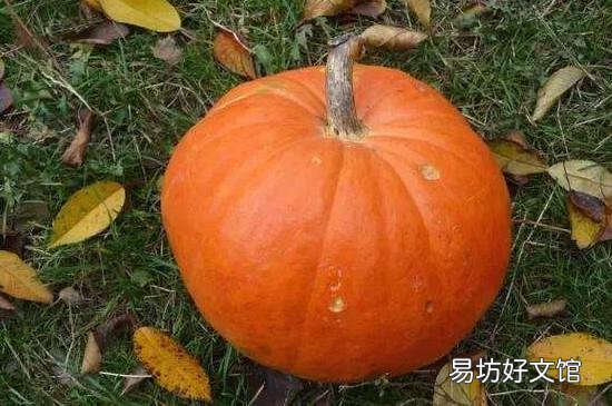 冬季干燥吃什么补水
