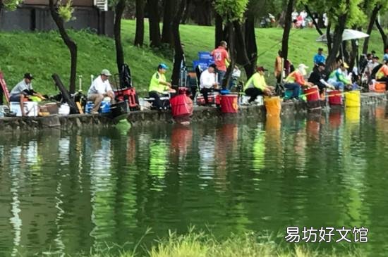 深秋降温怎么钓鲫鱼