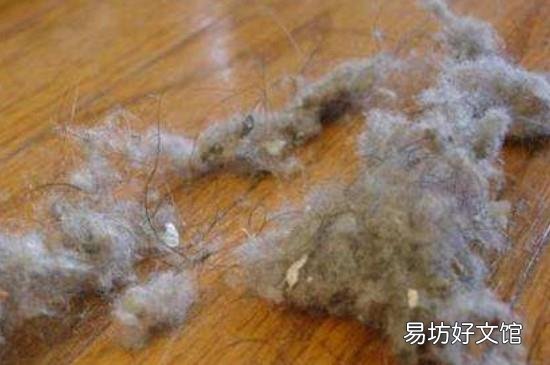 如何扫地灰尘不乱飞