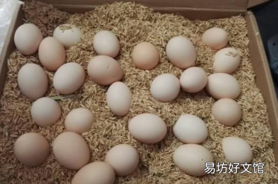 鸡蛋和豆浆能一起吃吗