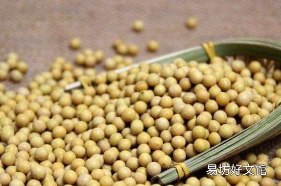 黄豆泡多久