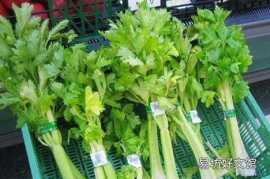 香芹叶子可以吃吗