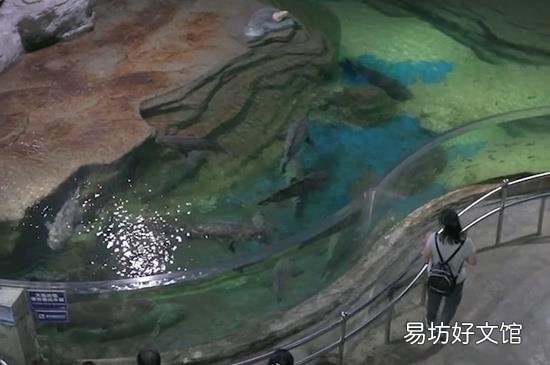 北海在哪里属于那个省