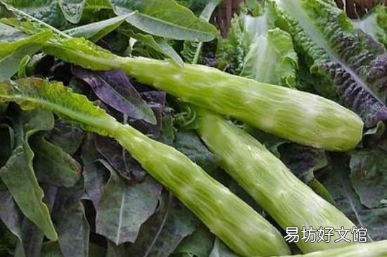 莴笋胡萝卜能一起吃吗