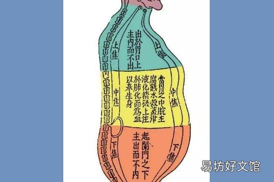下焦是哪个位置