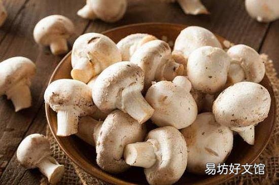 不含草酸的水果和食物