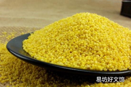 吃小米是除湿还是助湿
