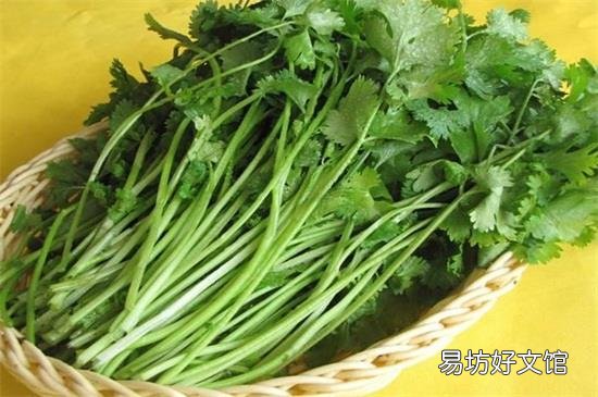蔬菜如何保鲜一周以上