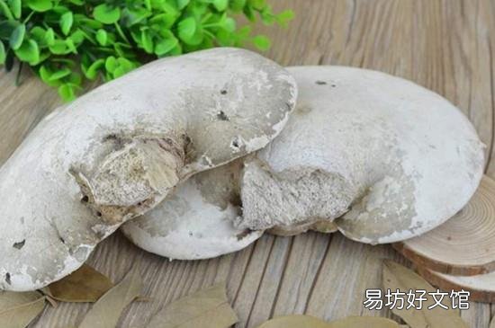 白灵芝的功效与作用吃法