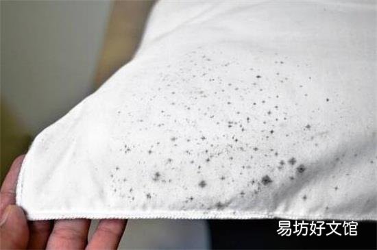 发霉的东西怎样才能洗掉