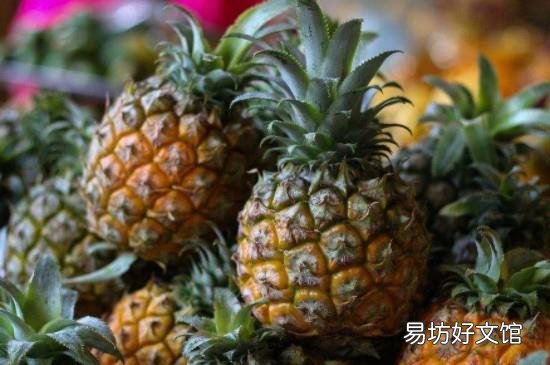 菠萝如何催熟