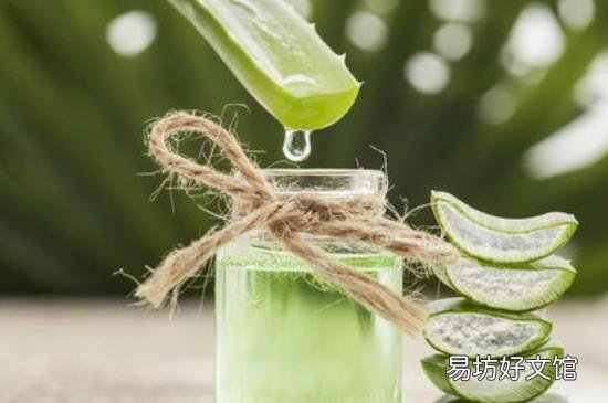 芦荟鲜叶可以直接用吗