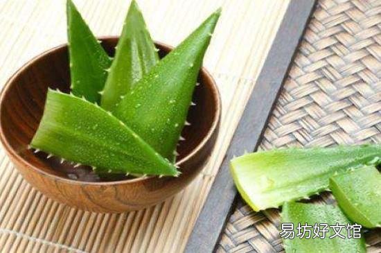 芦荟鲜叶面膜可以经常做吗
