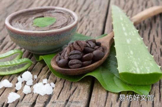 芦荟鲜叶面膜可以经常做吗