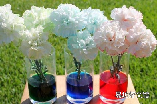 泡腾片过期生活小妙用