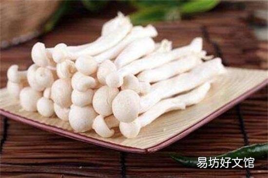 蟹味菇和白玉菇可以一起吃吗