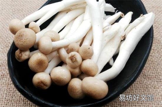 蟹味菇和白玉菇可以一起吃吗
