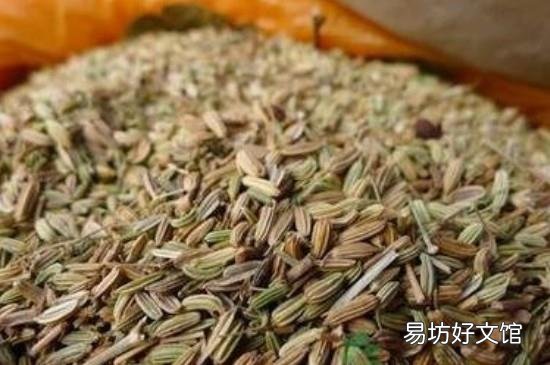 调料小茴香怎么用