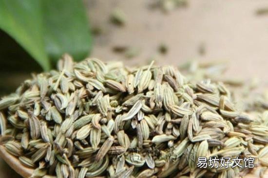 调料小茴香怎么用