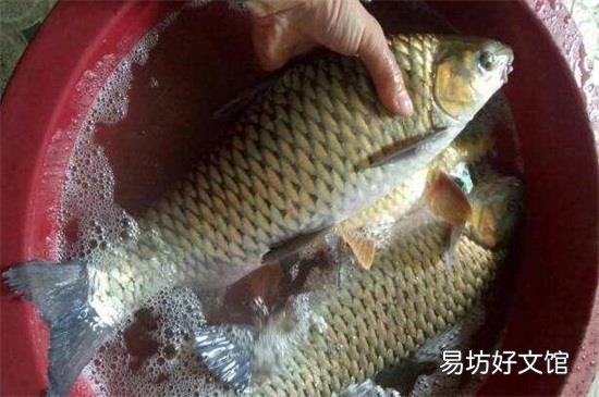长期吃鱼的危害