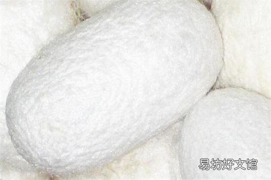 蛋白纤维是什么东西