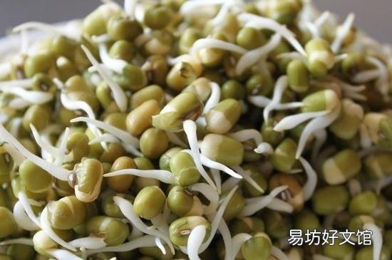 奶锅可以做什么
