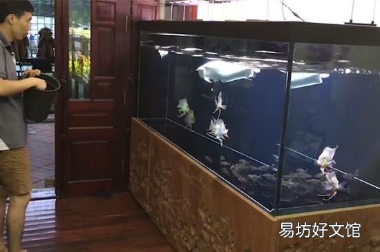 鱼缸摆放位置