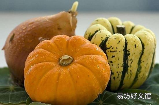 南瓜减肥还是增肥