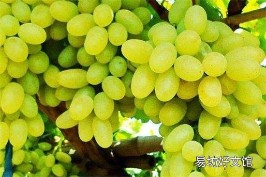 张家口特产