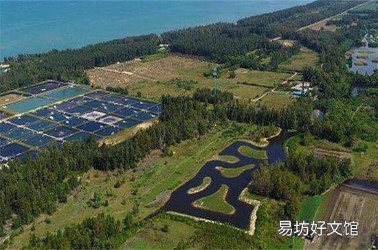 昌江黎族自治县属于哪个市