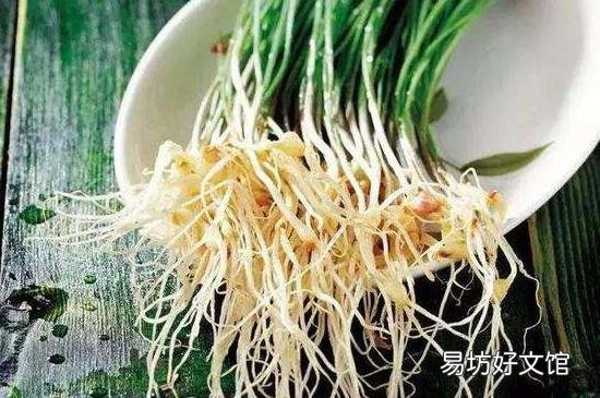什么人不能吃野蒜