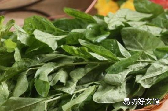 枸杞叶和什么相克