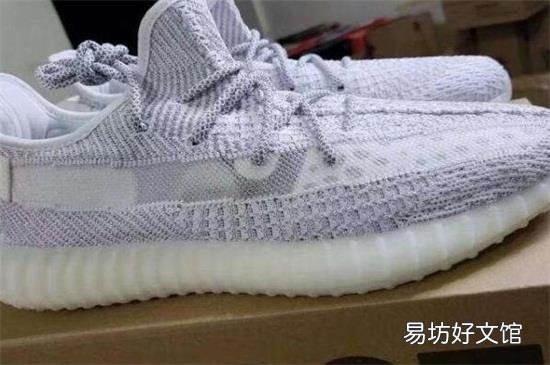 椰子满天星和天使的区别