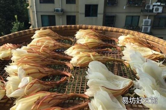 吃昙花的禁忌