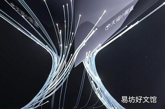 天猫小黑盒什么意思