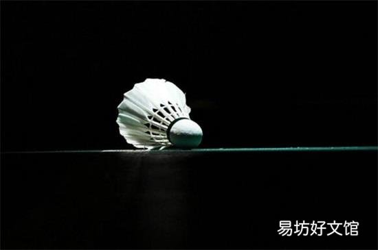 羽毛球技巧与训练方法