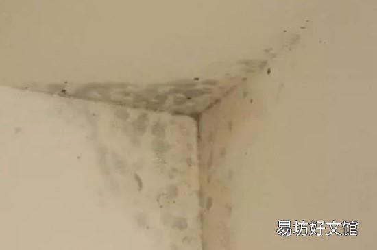 回南天墙面发霉的原因